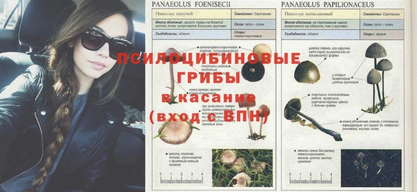 наркотики Бородино